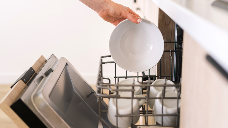 Person putting bowl in dishwasher