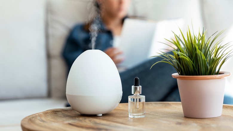 air freshener in living room