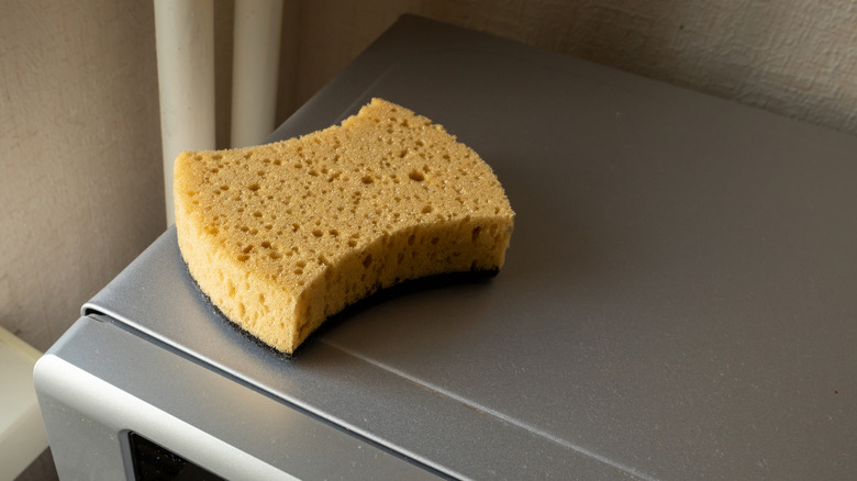 A dry sponge sitting on top of a microwave.