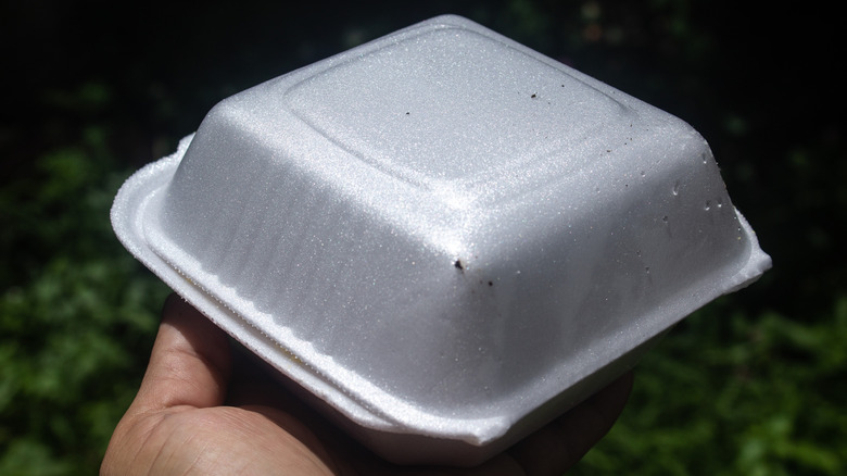 A hand holding a Styrofoam container against a dark backdrop.