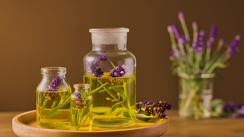 Bottles of lavender oil surrounded by lavender