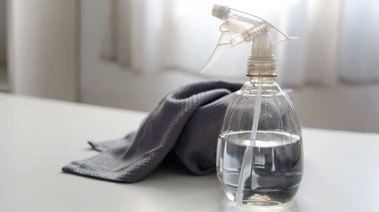 Spray bottle with vinegar and cloth near window