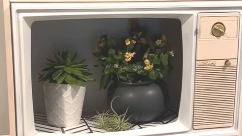 Vintage Magnavox TV with plants inside