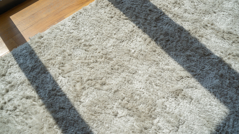 grey carpet with shadows across it on a wood floor