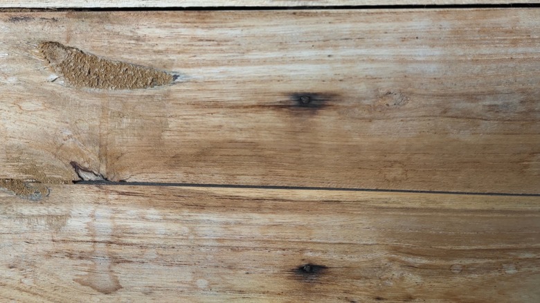Swiffer mop going over unfinished pine floor