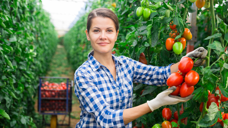 Woman posing with tomato plum