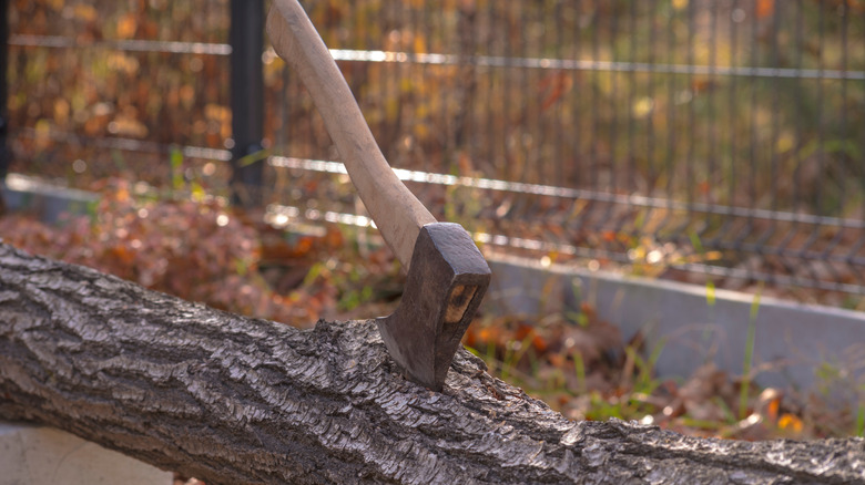 A felling axe stuck in a log