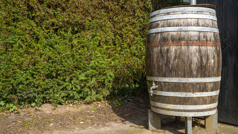 A rustic old barrel used to collect rainwater for storage and use