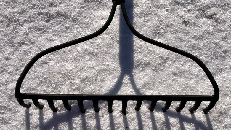Closeup of a garden rake in snow