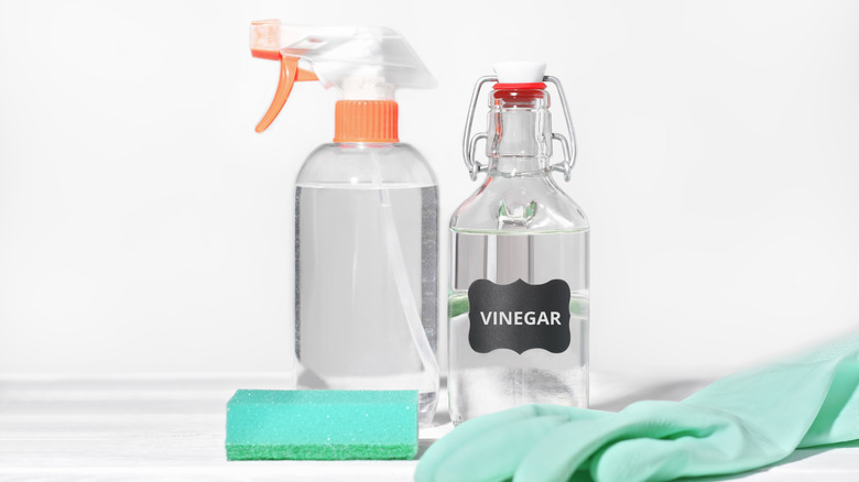 Vinegar in a spray bottle with cleaning gloves