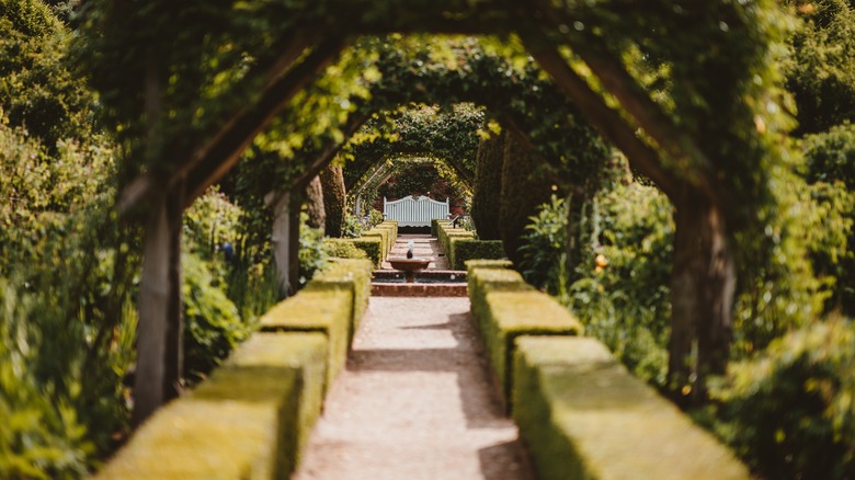 garden with a path