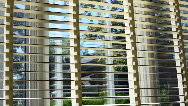 Open white faux wood blinds in the window with greenery and trees seen outside the window