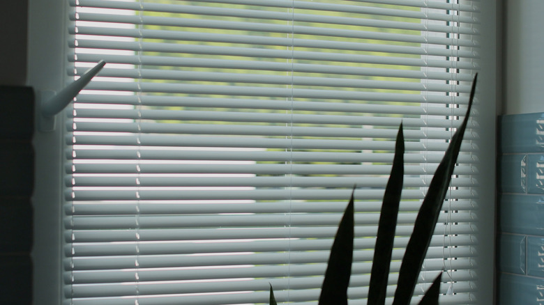 Closed white metal blinds with a plant sitting in front of the window