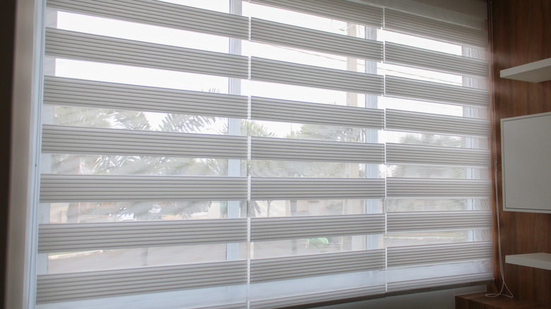 Zebra blinds hanging in a double window with shelves visible on the right side