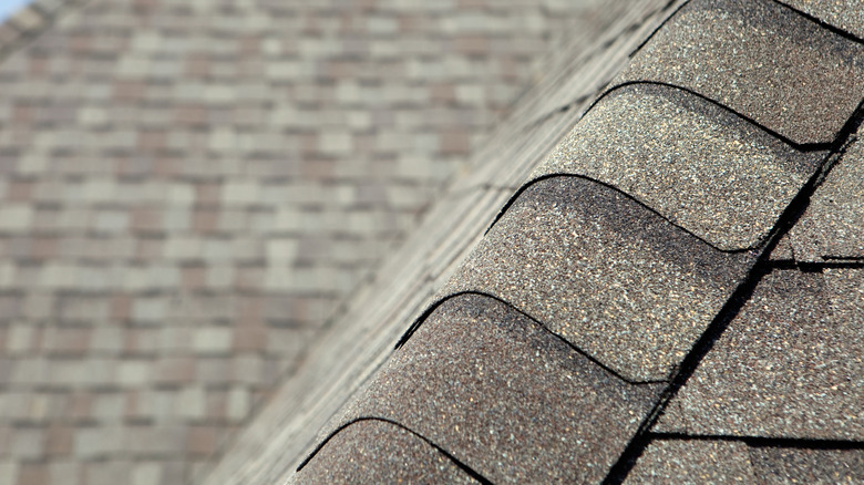 Close up of roof shingles