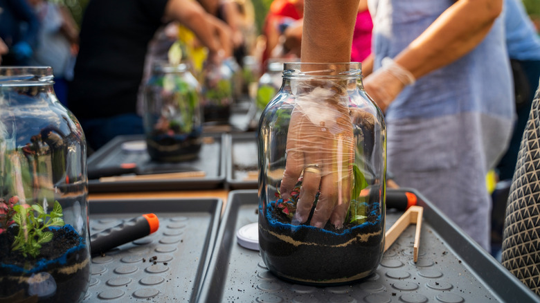 close up of hands planting flowers in jars