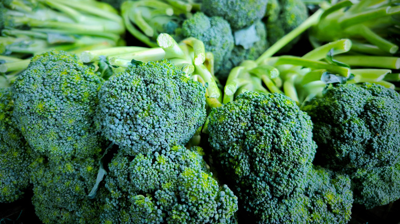 Cut broccoli heads in a stack