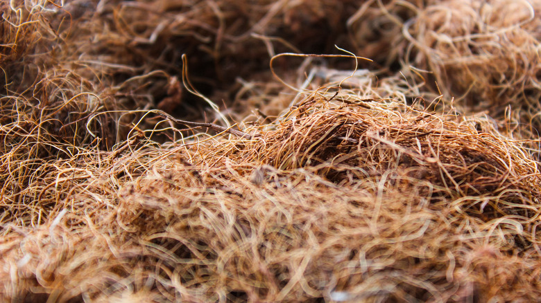 pile of hairy coconut coir