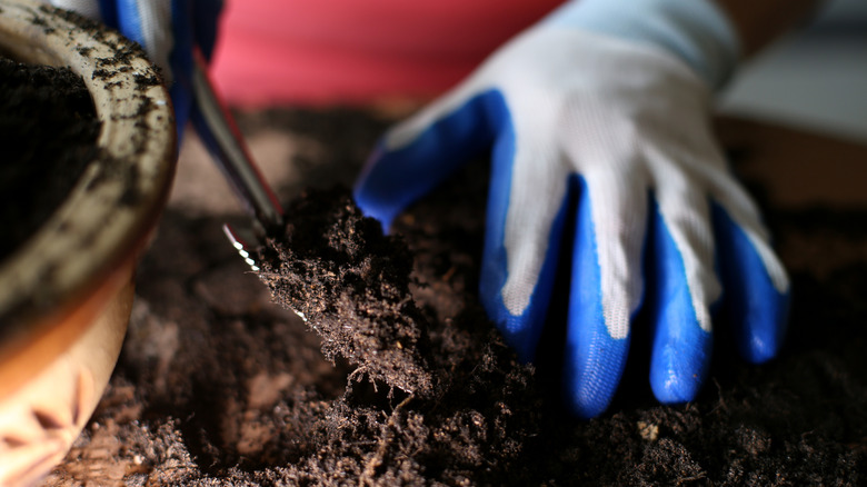 person using trowel in soil