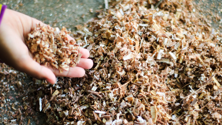 hand holding sawdust compost material
