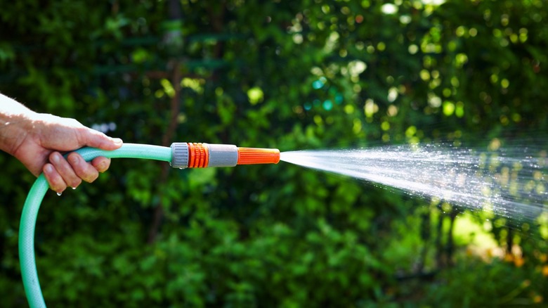 Hand holding garden hose