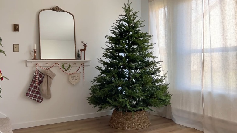 Bare Christmas tree with unique base