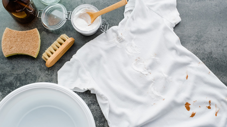 White shirt with a brown stain and various cleaning ingredients surrounding it