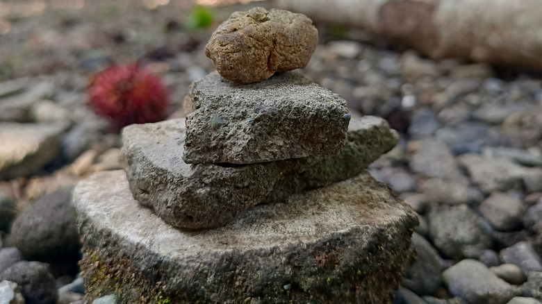 Stones stacked on top of a small tree stump in a rock garden
