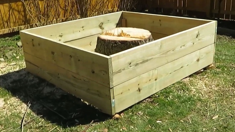 Tree stump inside a wooden garden box with saw dust covering the ground