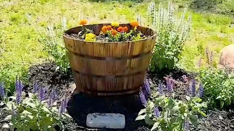 Wine barrel planter on top of a tree stump in the center of a flower garden with stepping stones