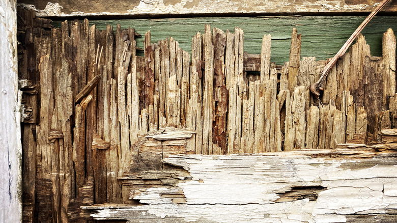An outside door made of peeling and rotting wood