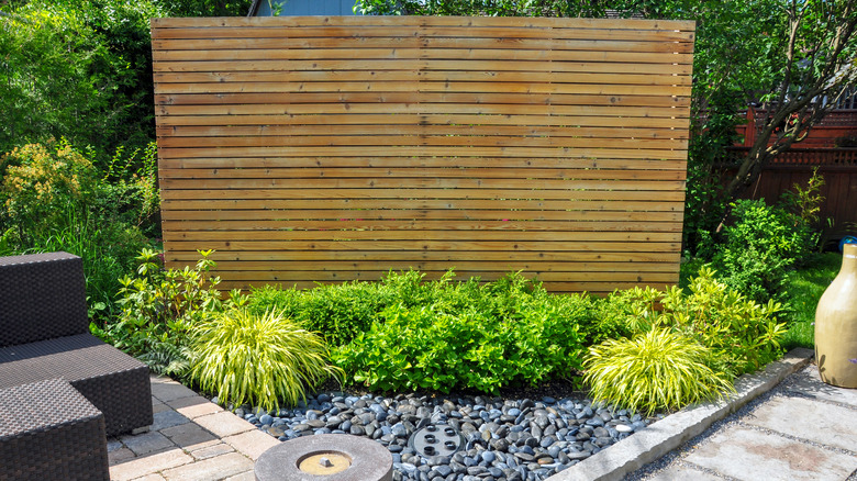 Privacy wall in backyard