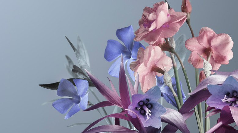 periwinkle flowers in vase