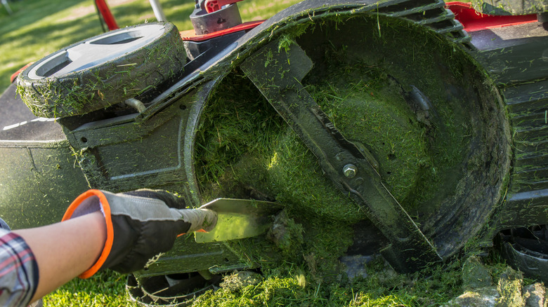 Person cleaning mower blade
