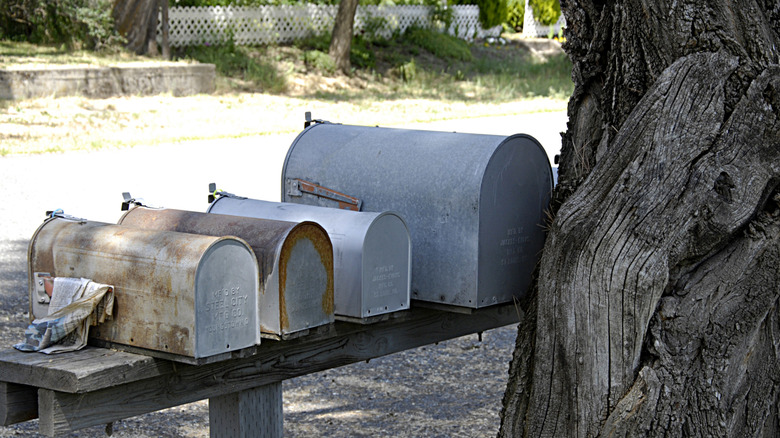 A row of rusty galvanized mailboxes sits next to a large tree trunk