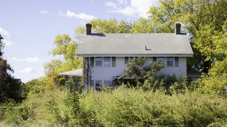 A colonial style house is overgrown with shrubs and bushes