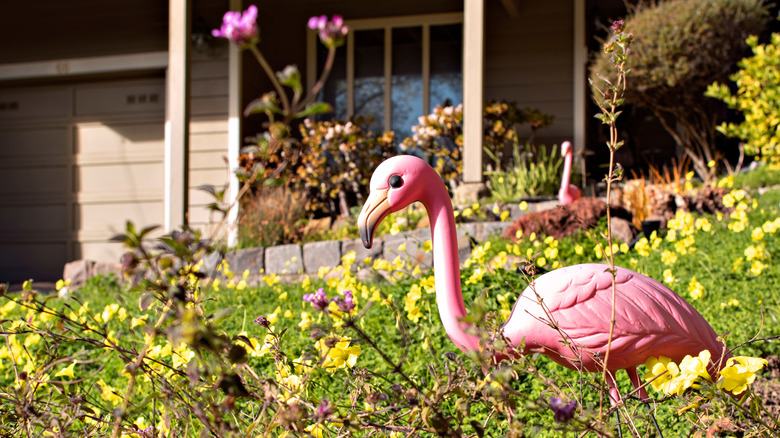 A plastic pink flamingo is in an overgrown yard