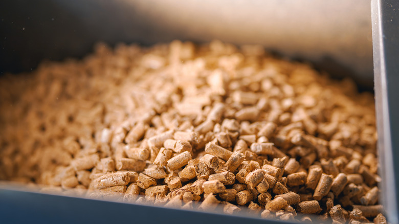 Wood pellets used for biomass energy