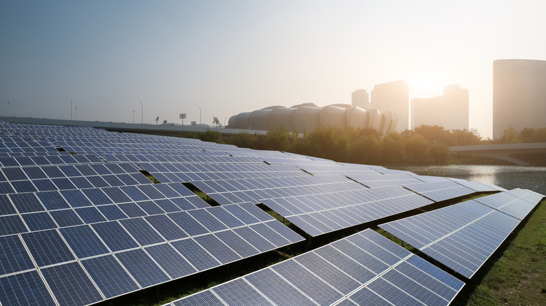 Community solar panels