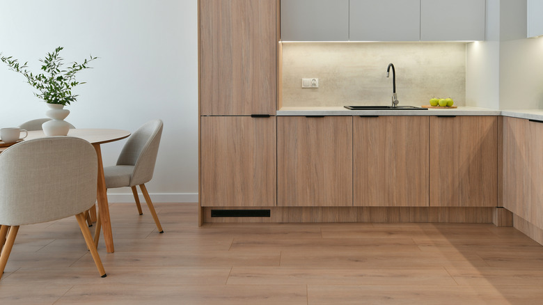 A modern kitchen, including a tall kitchen cabinet