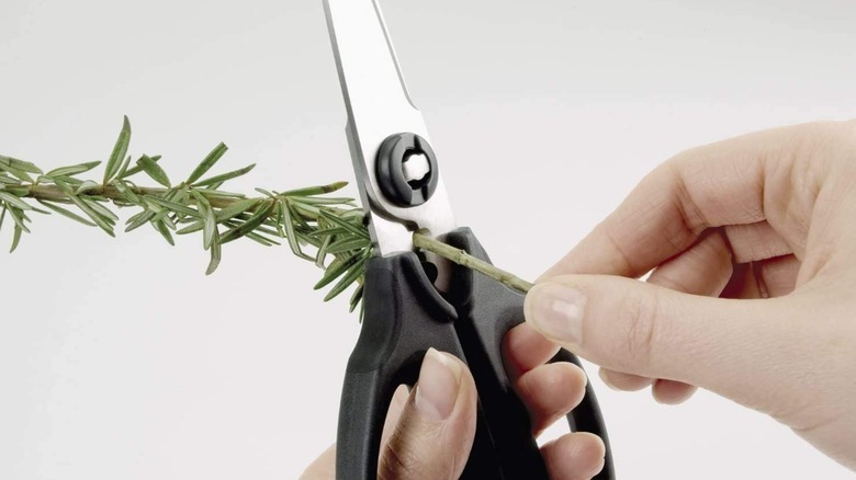 Black kitchen shears propped up against cardboard on outdoor porch