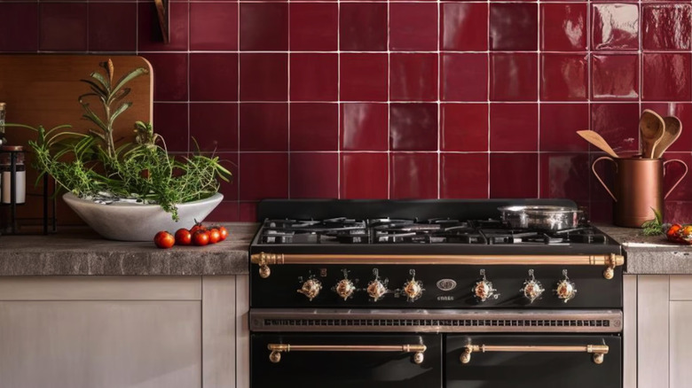 A kitchen with a red zellige tile backsplash and copper accents.