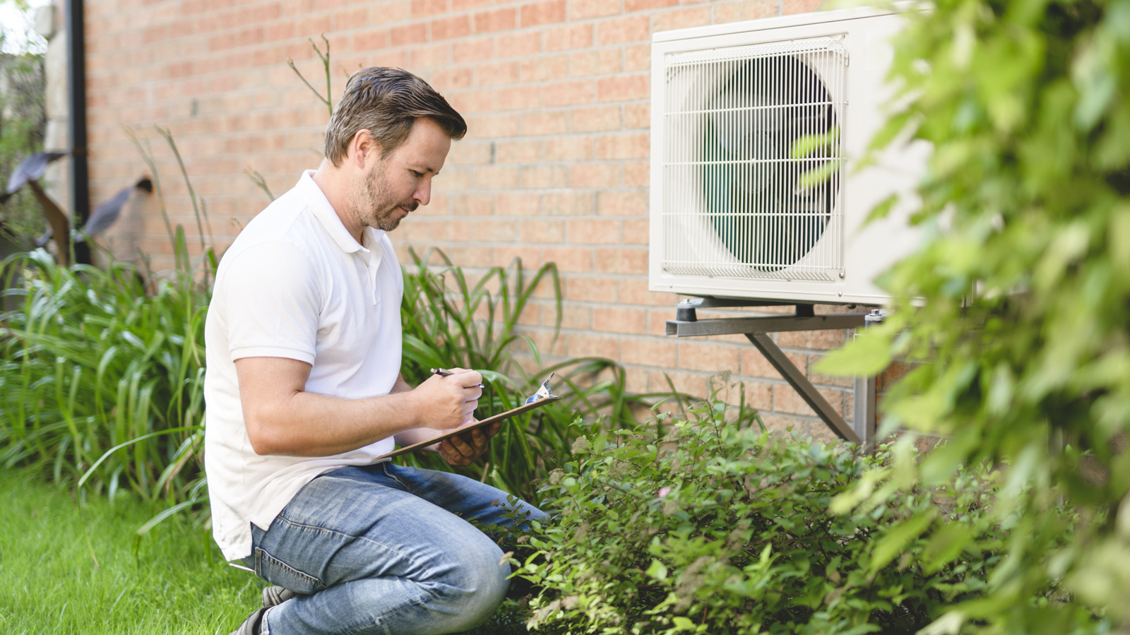 10 Best Plants To Grow Around An AC Unit