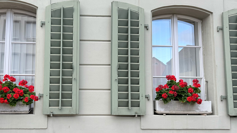 Home facade with green shutters and window boxes filled with red geraniums