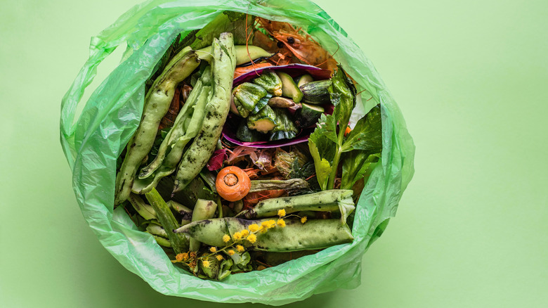 Food scraps in a green compostable bag