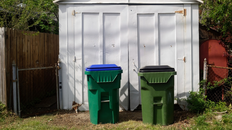 A trash can and recycling can in front of a shed