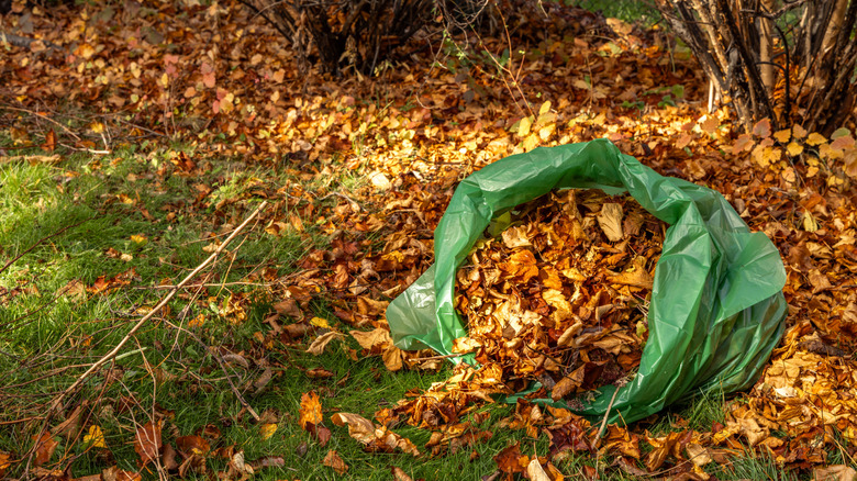 A green bag full of dead leaves in a yard.