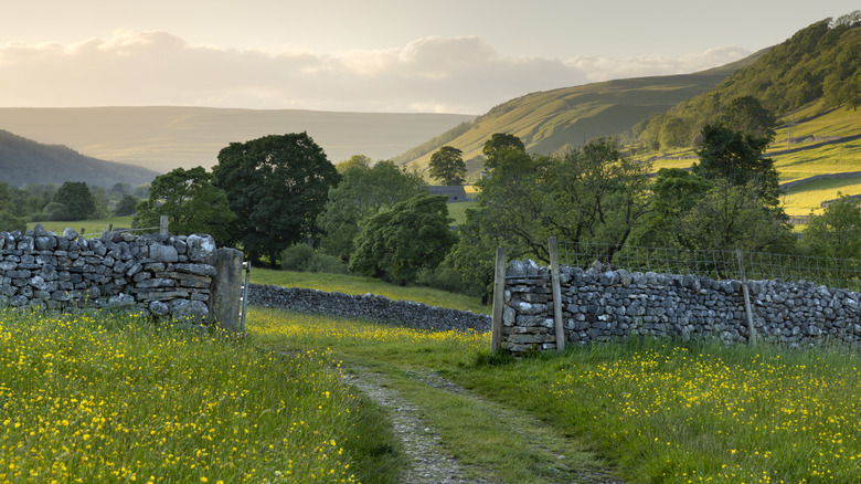 A short stone wall in a hilly field.