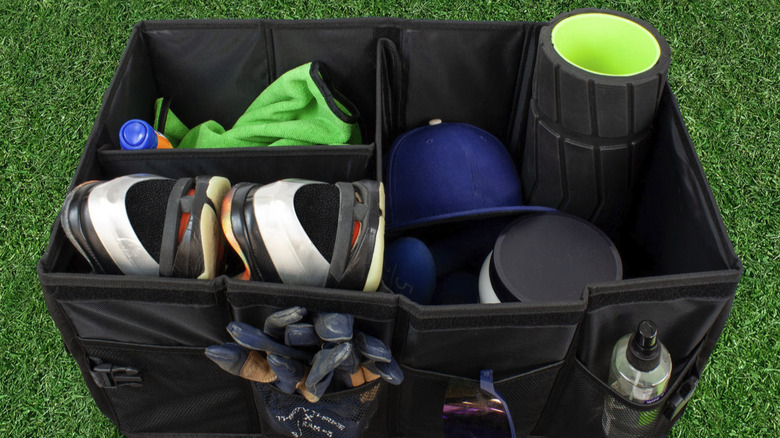 Eurow's Automotive Trunk Organizer