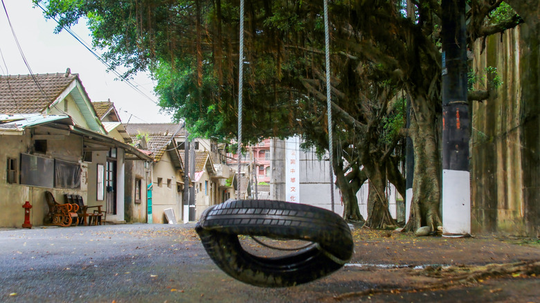 A tire swing hanging from a large tree.
